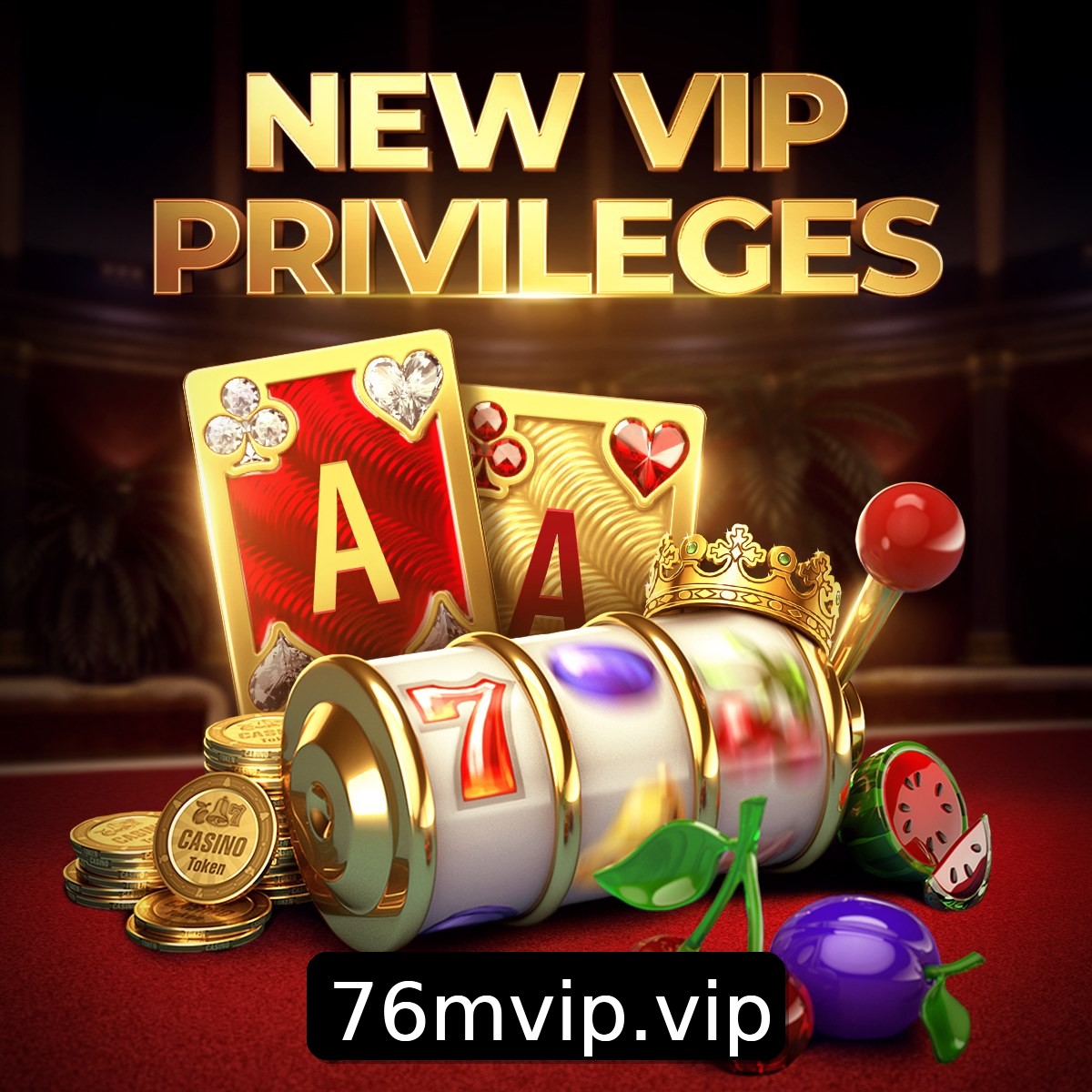 Programa VIP 76M